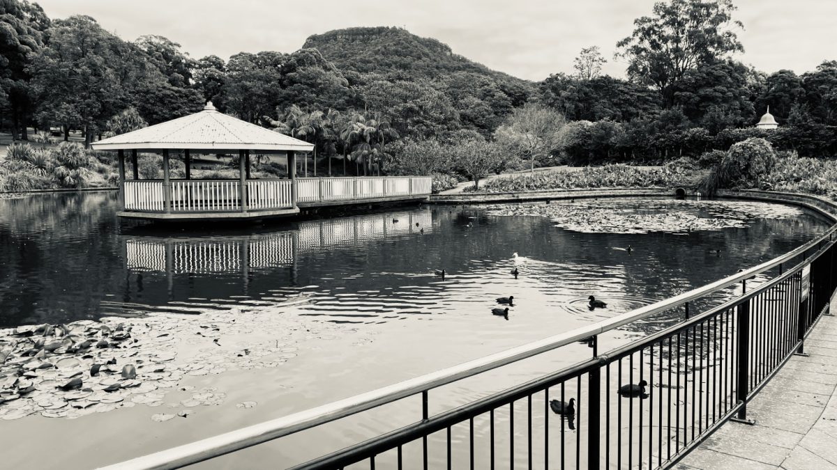 Creative Smartphone Photography – Botanic Gardens